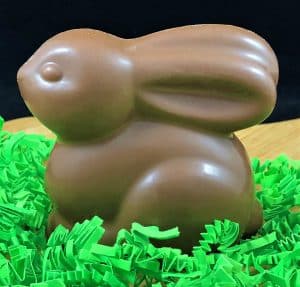 solid chocolate Easter bunny