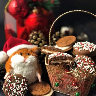 gingerbread cookies covered in milk chocolate